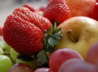 /album/zahradka-v-brne/perex-329x-1-0905180945-1-3-jpg/